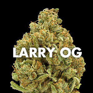 Larry OG